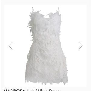 White mini dress from INAMORE online. Removable straps. Original $159